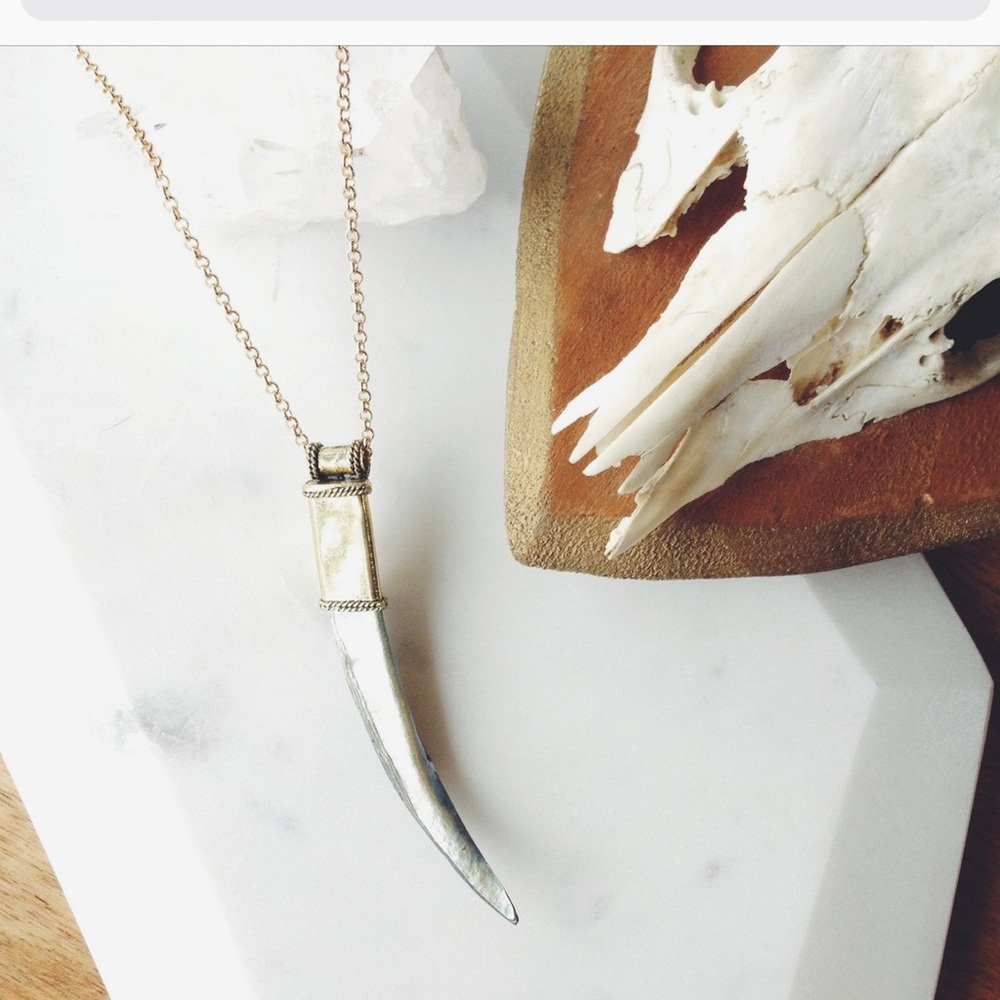 Abalone Spike Necklace